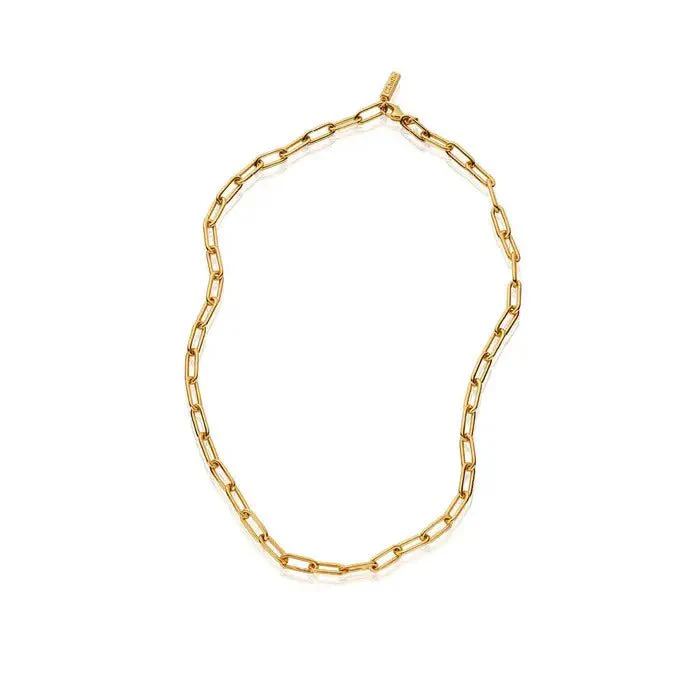 ChloBo Gold Medium Link Lariat Necklace - Image 3