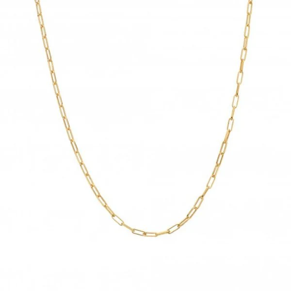Hot Diamonds Gold
Silver Embrace Small Paperclip Chain - 40-45 cm