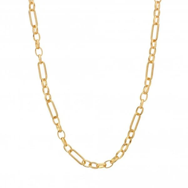 Hot Diamonds Gold
Silver Embrace Statement Chain - 45 cm
