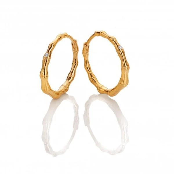 Hot Diamonds Gold
Silver X GE Bondi Earrings