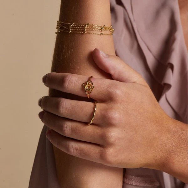 Hot Diamonds Gold
Silver X GE Endless Ring - Image 2