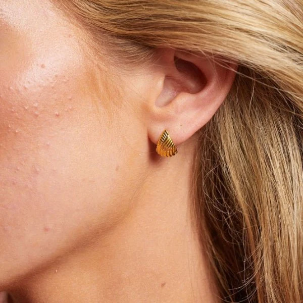 Hot Diamonds Gold
Silver X GE Paris Earrings - Image 2