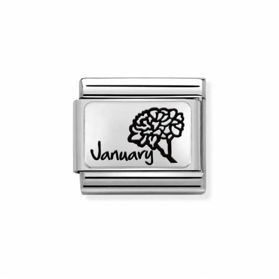 Nomination Classic Silver Birth Month Flower Charm