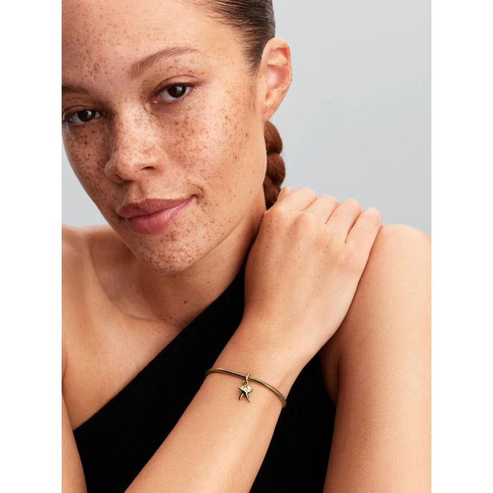 Pandora
Gold Plated Starfish Double Dangle Charm - Image 3