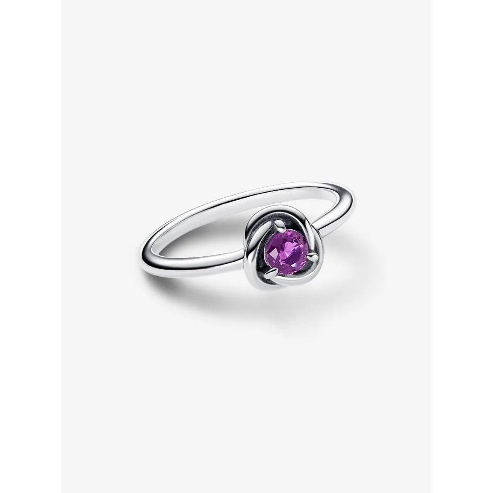 Pandora Silver February Birthstone Eternity Circle Ring - Image 4